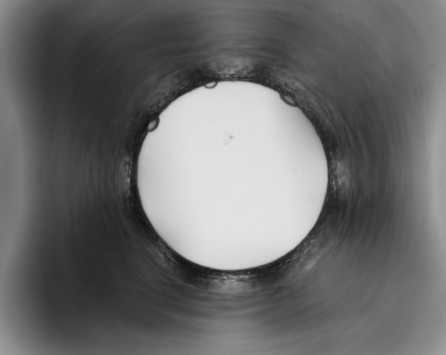 X0000096210664200802151503