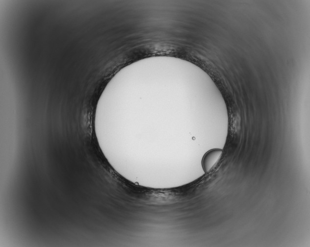 X0000096210666200802151503