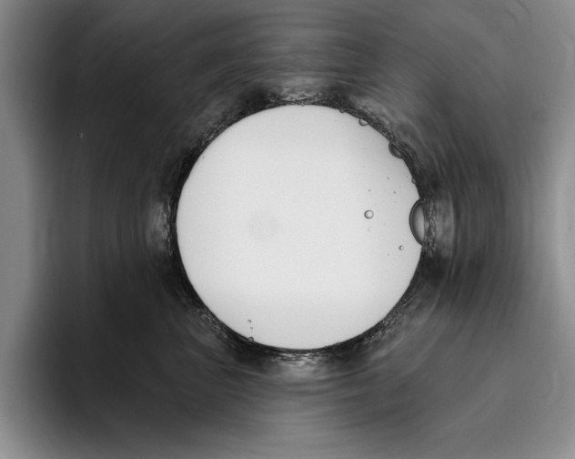 X0000096210667200802151503