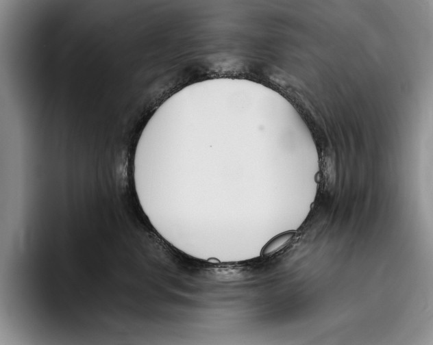 X0000096210668200802151503