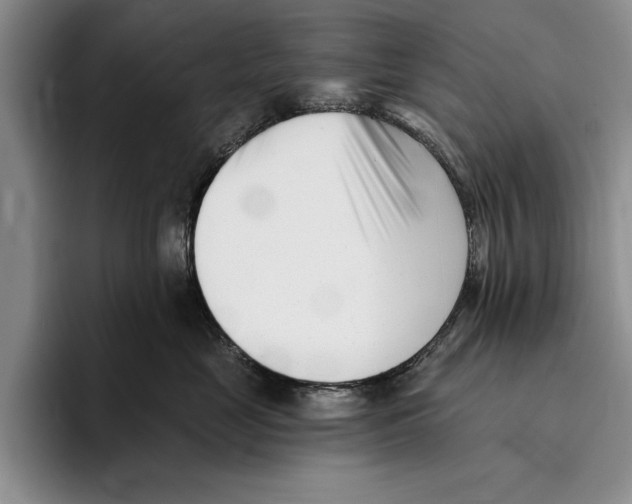 X0000096210669200802151503