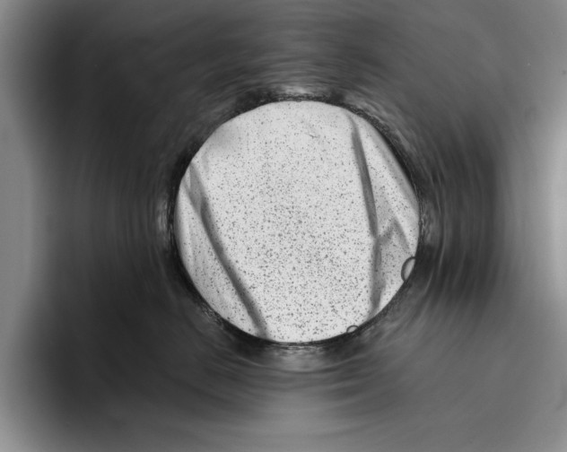 X0000096210670200802151503
