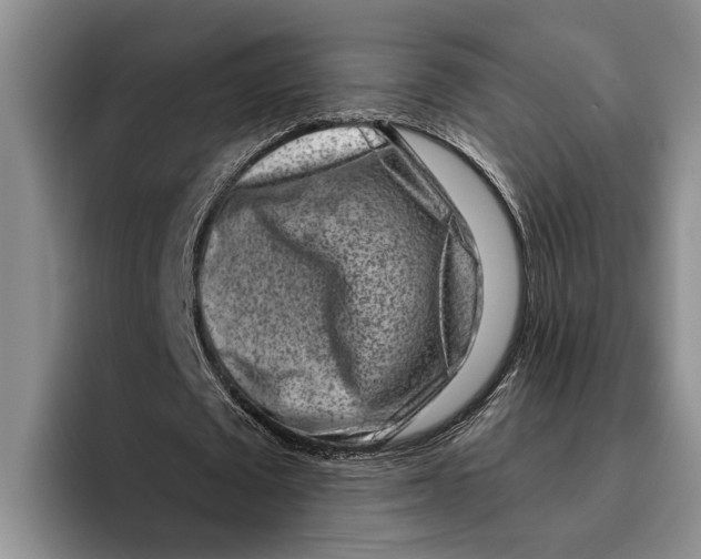 X0000096210673200802151502