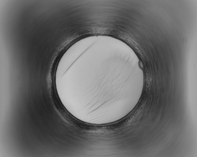 X0000096210674200802151502
