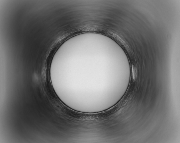 X0000096210675200802151502