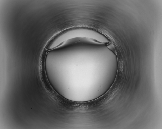 X0000096210676200802151502