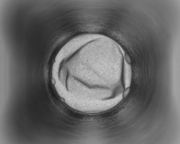 X0000096210679200802151502