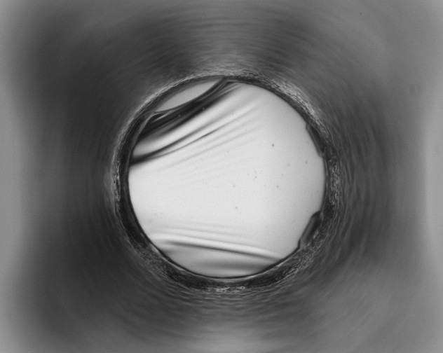 X0000096210680200802151502