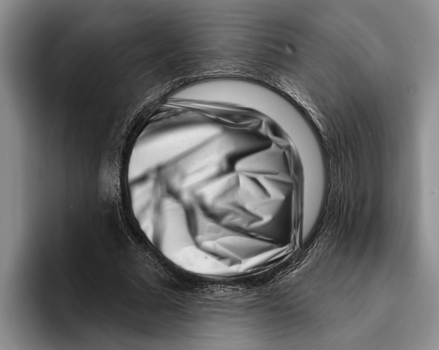 X0000096210681200802151502