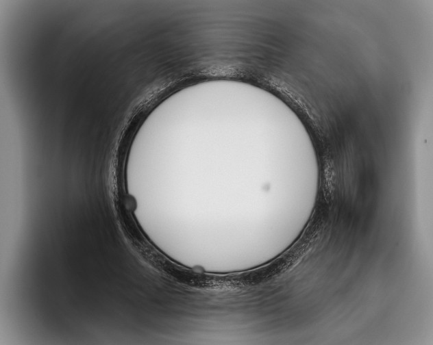 X0000096210682200802151502