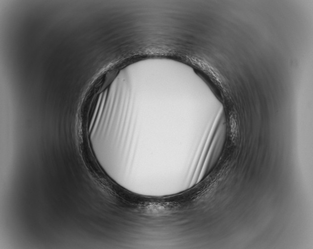 X0000096210684200802151502
