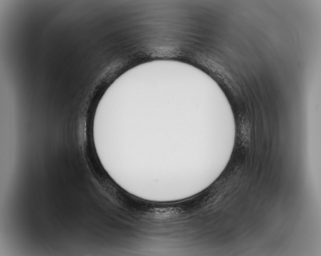 X0000096210686200802151502