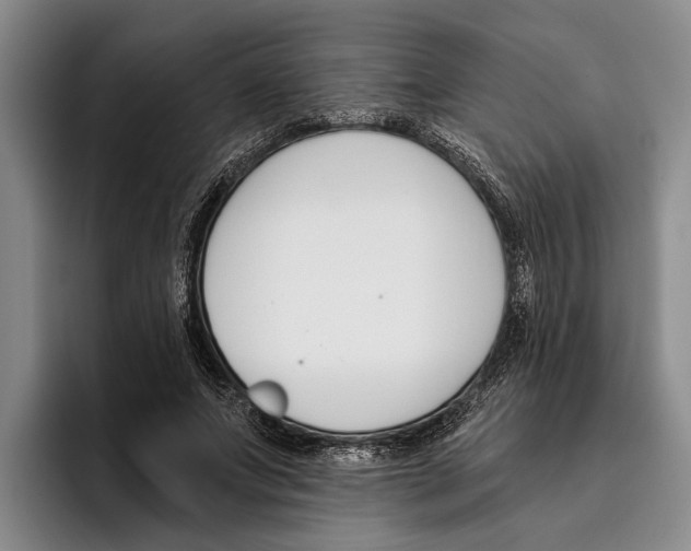 X0000096210687200802151502