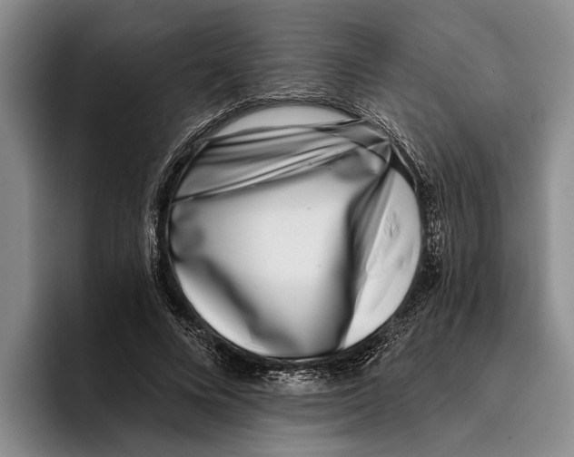 X0000096210688200802151502