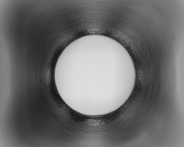 X0000096210690200802151502