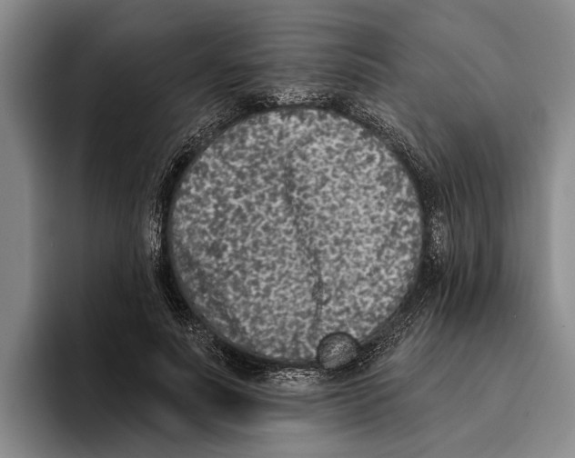X0000096210691200802151502
