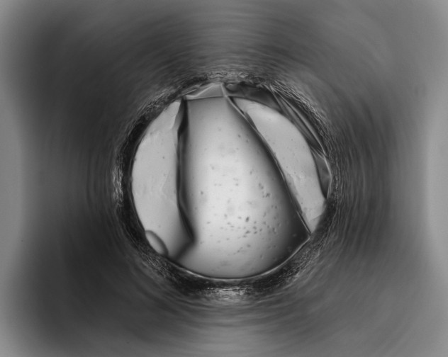 X0000096210692200802151502