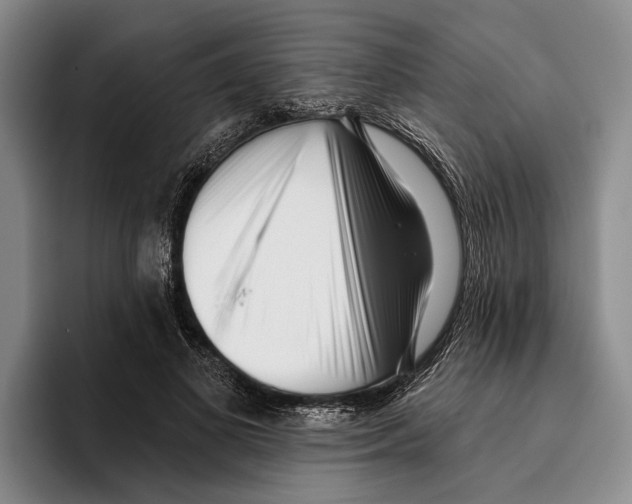 X0000096210693200802151502
