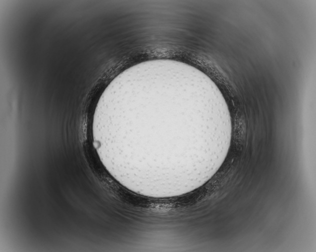 X0000096210694200802151502