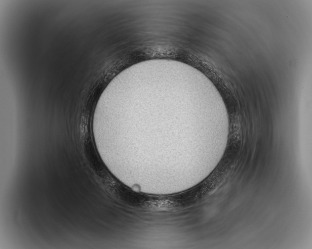 X0000096210695200802151502