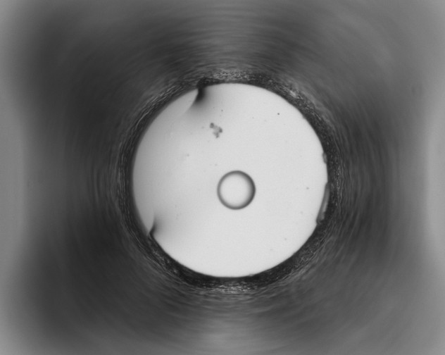 X0000096210696200802151502