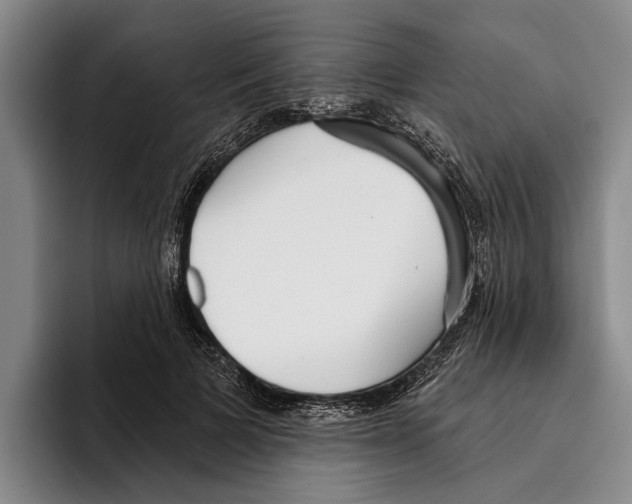 X0000096210697200802151502