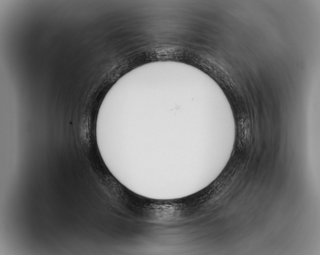 X0000096210698200802151502