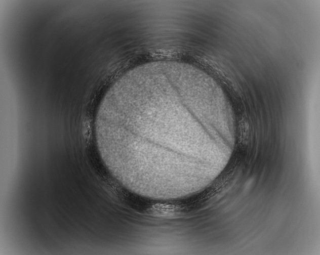 X0000096210699200802151502