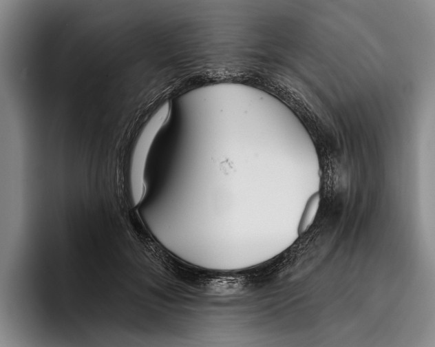 X0000096210700200802151502