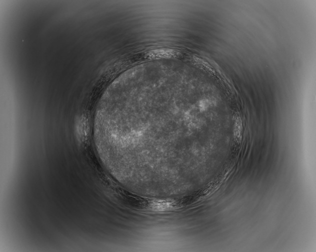 X0000096210701200802151502