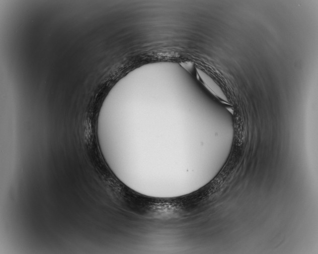 X0000096210704200802151502