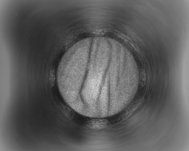X0000096210707200802151502