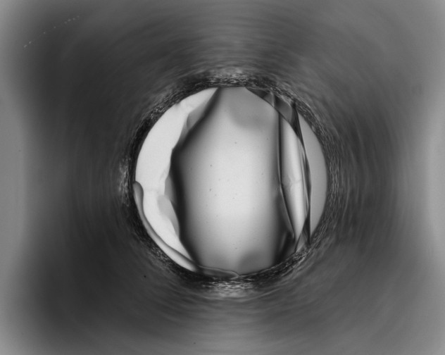 X0000096210708200802151502