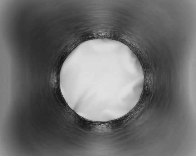 X0000096210709200802151502