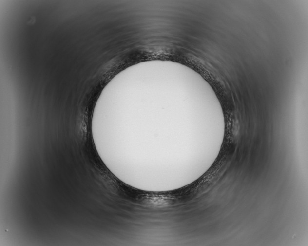 X0000096210710200802151502