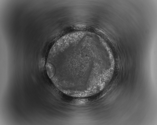 X0000096210711200802151502