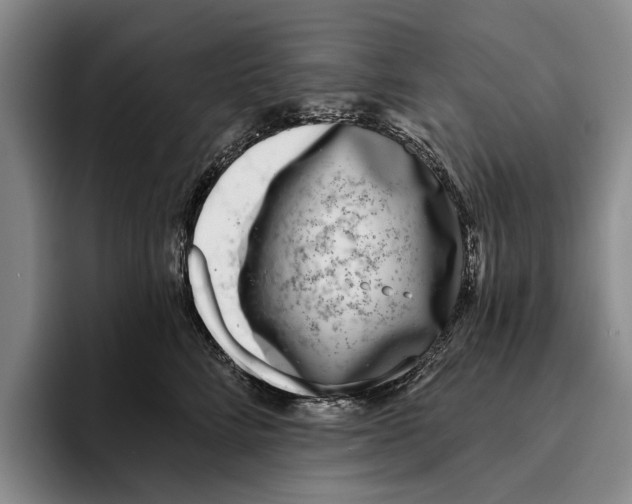 X0000096210712200802151502