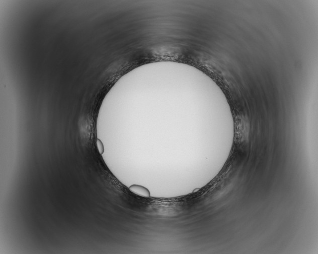 X0000096210713200802151502