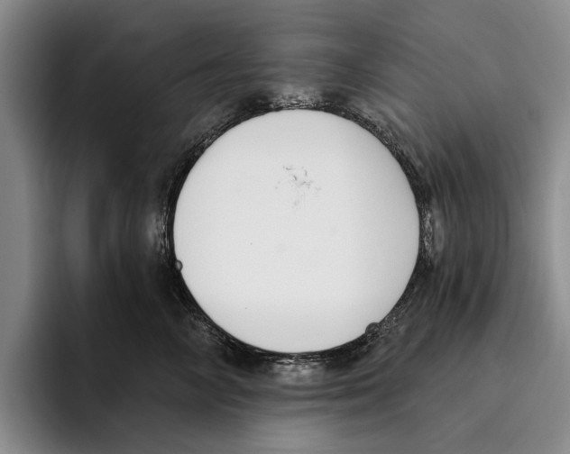 X0000096210714200802151502