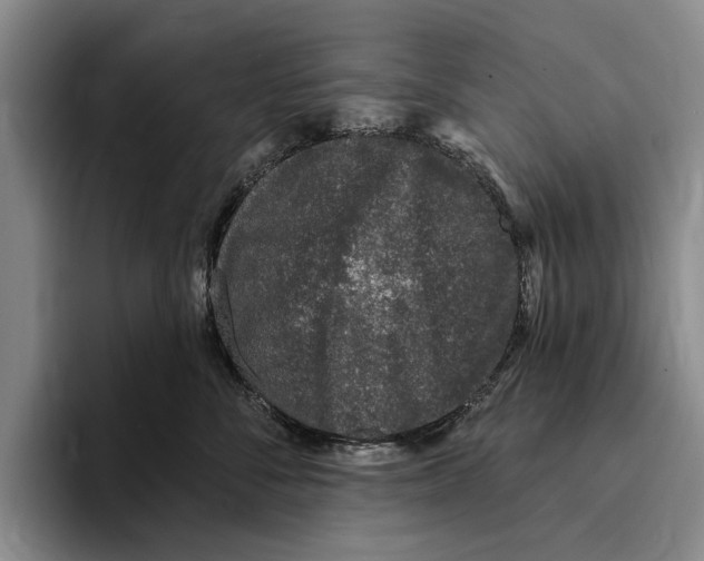 X0000096210716200802151502