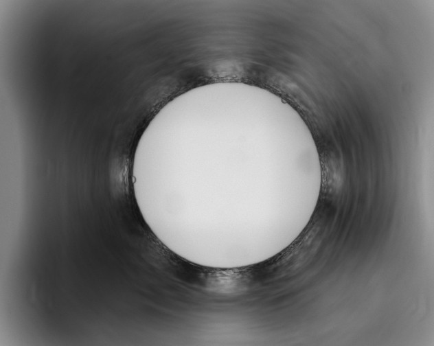 X0000096210717200802151502