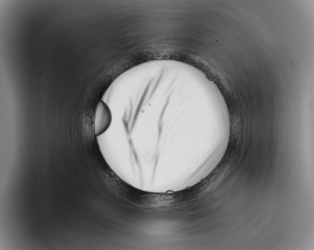 X0000096210719200802151502
