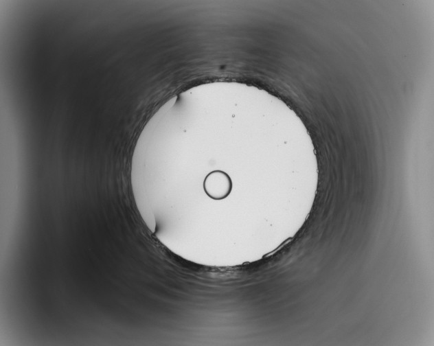 X0000096210720200802151502
