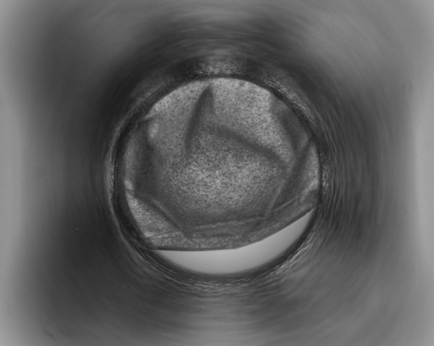 X0000096210722200802151501