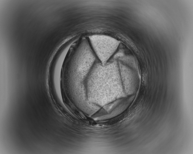 X0000096210724200802151501