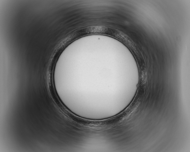 X0000096210725200802151501