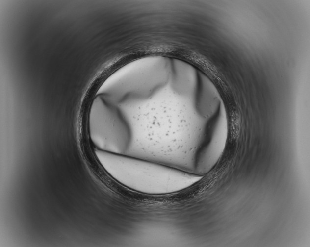 X0000096210726200802151501