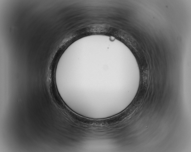 X0000096210727200802151501
