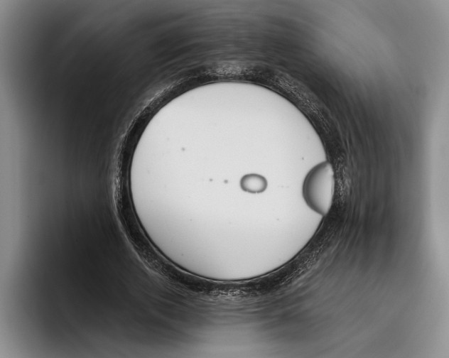 X0000096210728200802151501