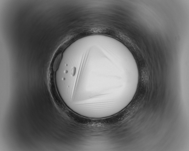 X0000096210730200802151501